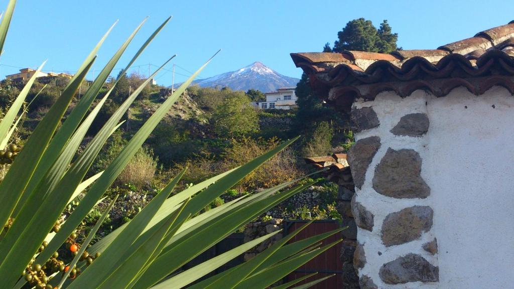 Finca Los Ciruelos Casas Rurales Ікод-де-лос-Вінос Екстер'єр фото